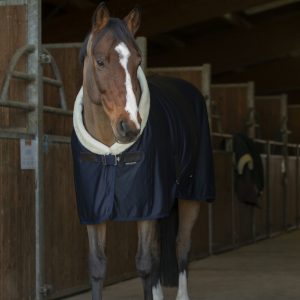 CHEMISE SÉCHANTE EQUITHÈME “TEDDY”