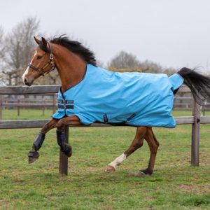 COUVERTURE AMIGO HERO 0G HORSEWARE