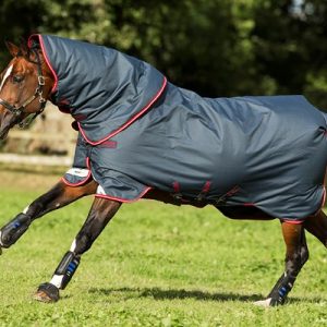 AMIGO BRAVO 12 PLUS HORSEWARE